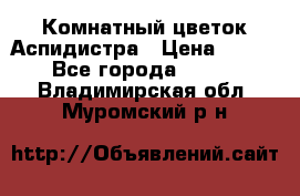 Комнатный цветок Аспидистра › Цена ­ 150 - Все города  »    . Владимирская обл.,Муромский р-н